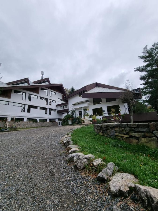 Văliug Randunica酒店 外观 照片