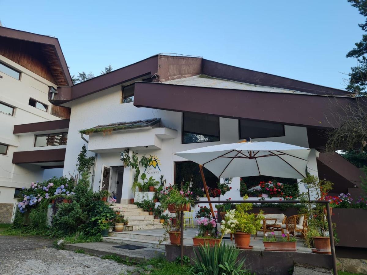 Văliug Randunica酒店 外观 照片
